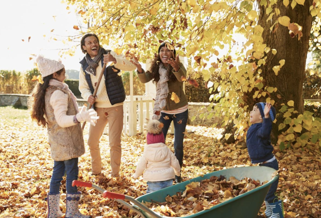 How to winterize your lawn and garden