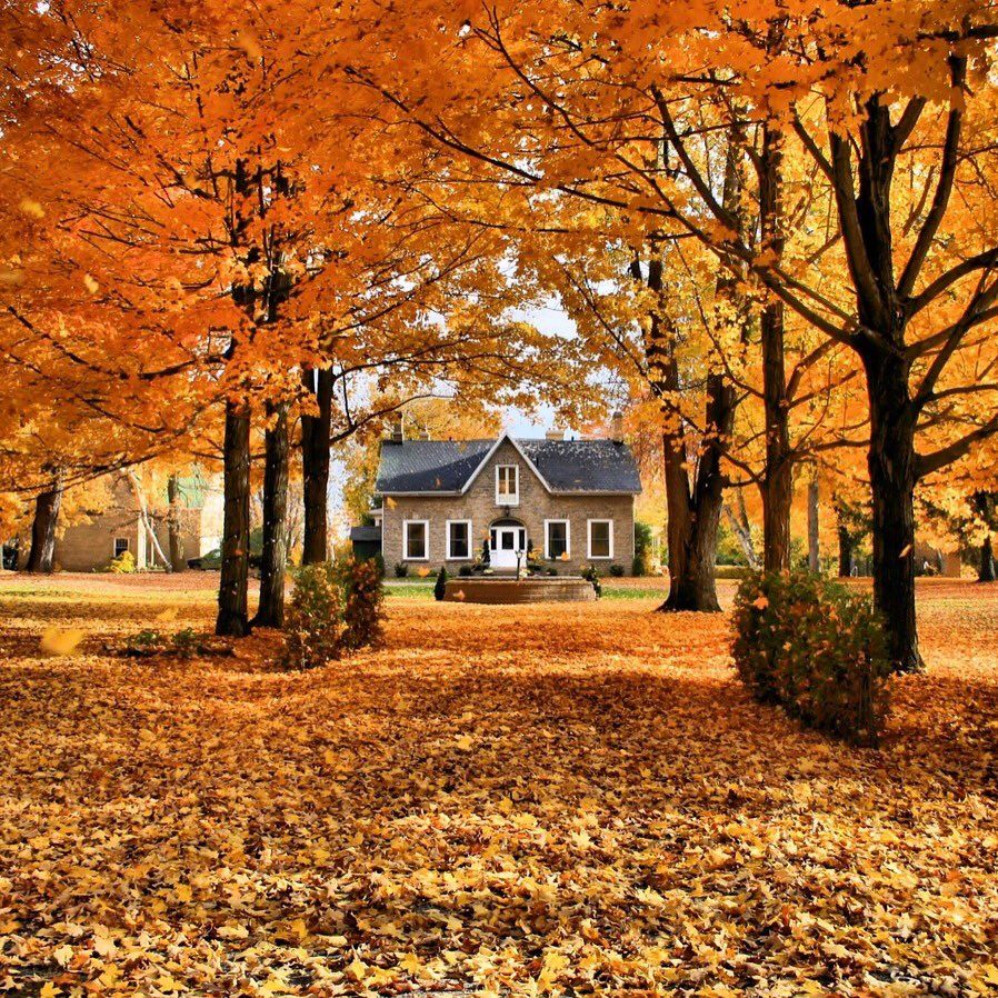 Top 5 tips for first-time real estate investors